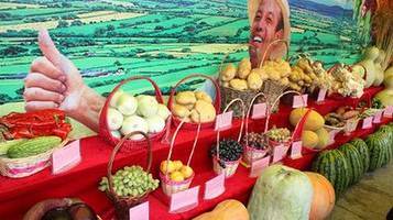 夏季青峰水鄉(xiāng) 親山親水親自然_旅游_網