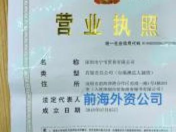 企業(yè)資產與服務的多元轉讓 深圳前海資本管理、外資公司、重慶翻譯與基礎軟件服務