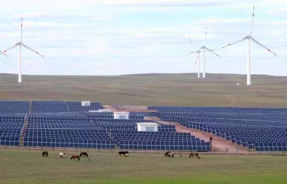 國壽資產創新黨建與投資融合模式，引領企業管理新篇章